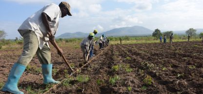 Tuvumiliane_farming.original